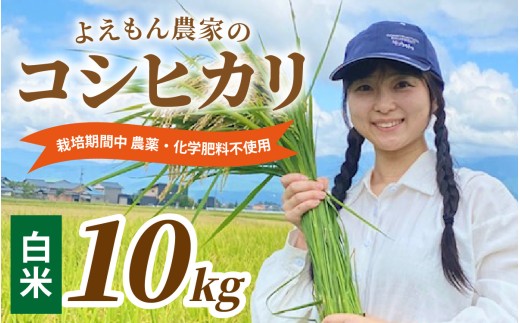 【先行予約】【令和8年産 新米】よえもん農家の白米 10kg 栽培期間中農薬・化学肥料不使用