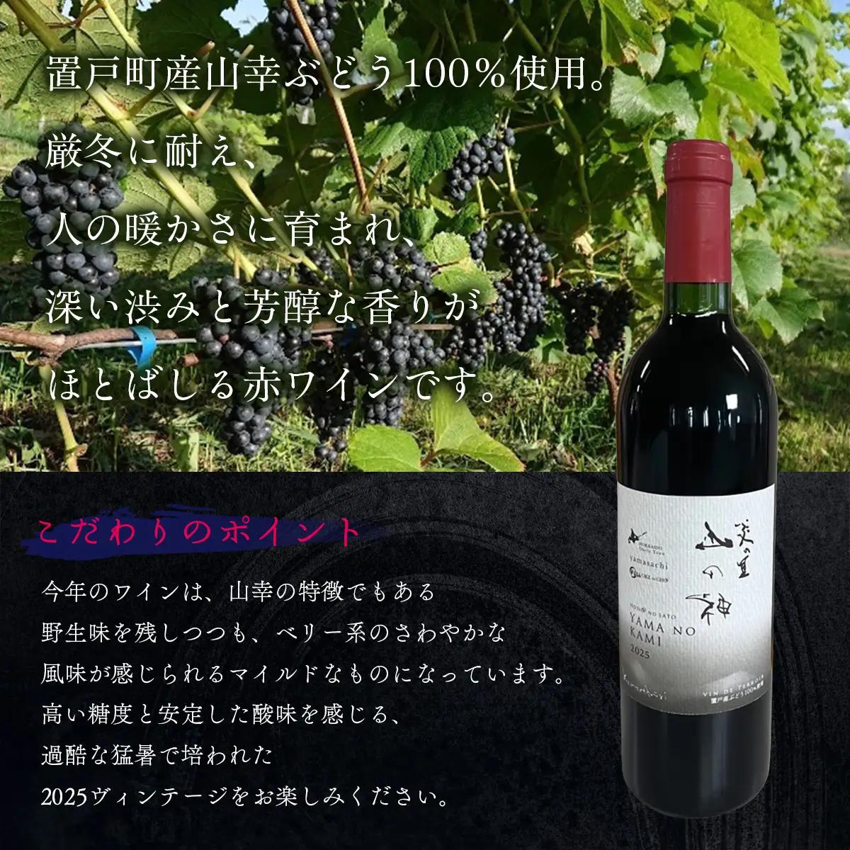 山の神 赤ワイン 2本OTI002