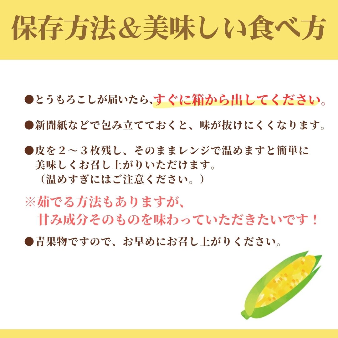 絶品！市川三郷町産　ドルチェドリーム（とうもろこし）12本入り 【2025年6月上旬から発送】じろう農園[5839-2179]