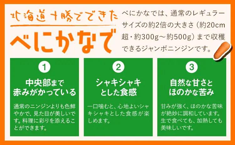 十勝 浦幌べにかなで 人参 訳あり 不揃い 約5kg 農事組合法人レギューム