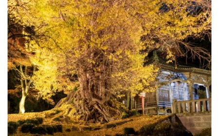 【古刹で写経体験】坂東札所十番　岩殿観音正法寺 写経体験セット（１名様）
