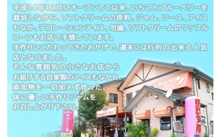 ＜自家製アイスクリームとブルーベリージャムのセット＞2か月以内に順次出荷【c593_sn_x3】 アイス ジャム セット ブルーベリー