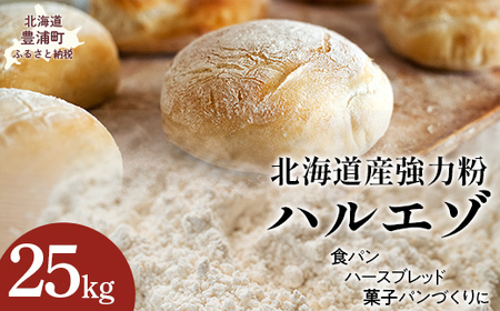 北海道産強力 ハルエゾ 25kg 【ふるさと納税 人気 おすすめ ランキング 強力粉 パン 粉 小麦粉 北海道 豊浦町 送料無料】TYUAI001 