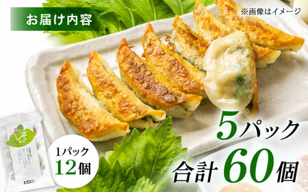 【5パック】餃子屋ヒロの 人気のしそ餃子【餃子屋ヒロ】開成町 餃子 点心 惣菜 冷凍[BDAS003-3]
