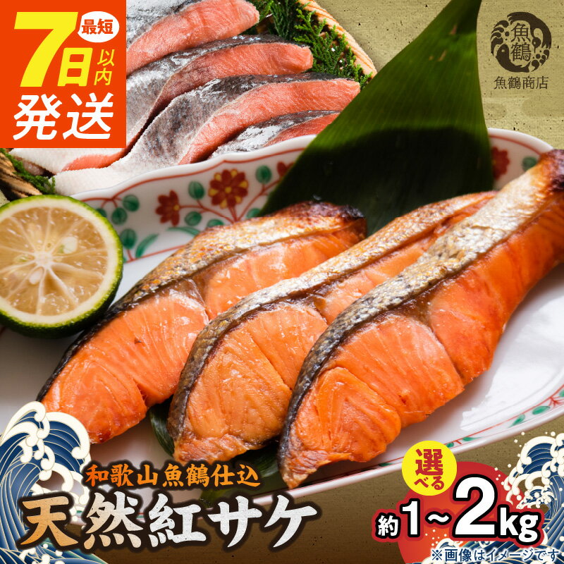 【ふるさと納税】【限定】 《7日以内発送》 リピーター続出！ 高評価★4.57 紅鮭 切身 選べる 内容量 約 1~2kg 小分け 真空パック 梅酒 真昆布 使用 だし まろやか 天然 鮭 魚 海の幸 海鮮 魚介 食品 食べ物 おかず お弁当 水産加工品 冷凍 グルメ 和歌山県 湯浅町 送料無料