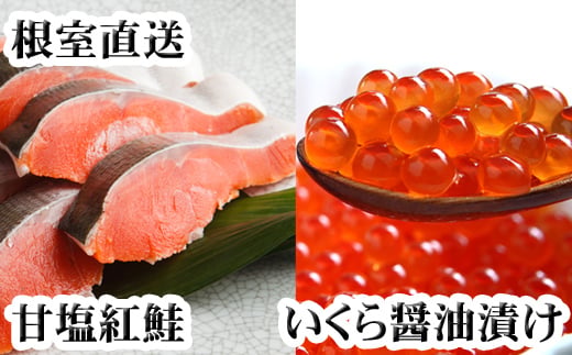 C-70024 いくら醤油漬け100g×2P、紅鮭切身5切×4P