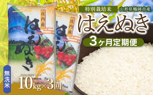 【令和8年産 新米】【定期便3ヵ月】斎藤農場の特別栽培米 はえぬき 無洗米 10kg(5kg×2袋)×3ヶ月 山形県鶴岡市 K-875 | 米 こめ コメ はえぬき ブランド米 庄内米 ごはん ご飯 美味しい 国産 おにぎり 農家直送 おすすめ 人気 お取り寄せ 返礼品