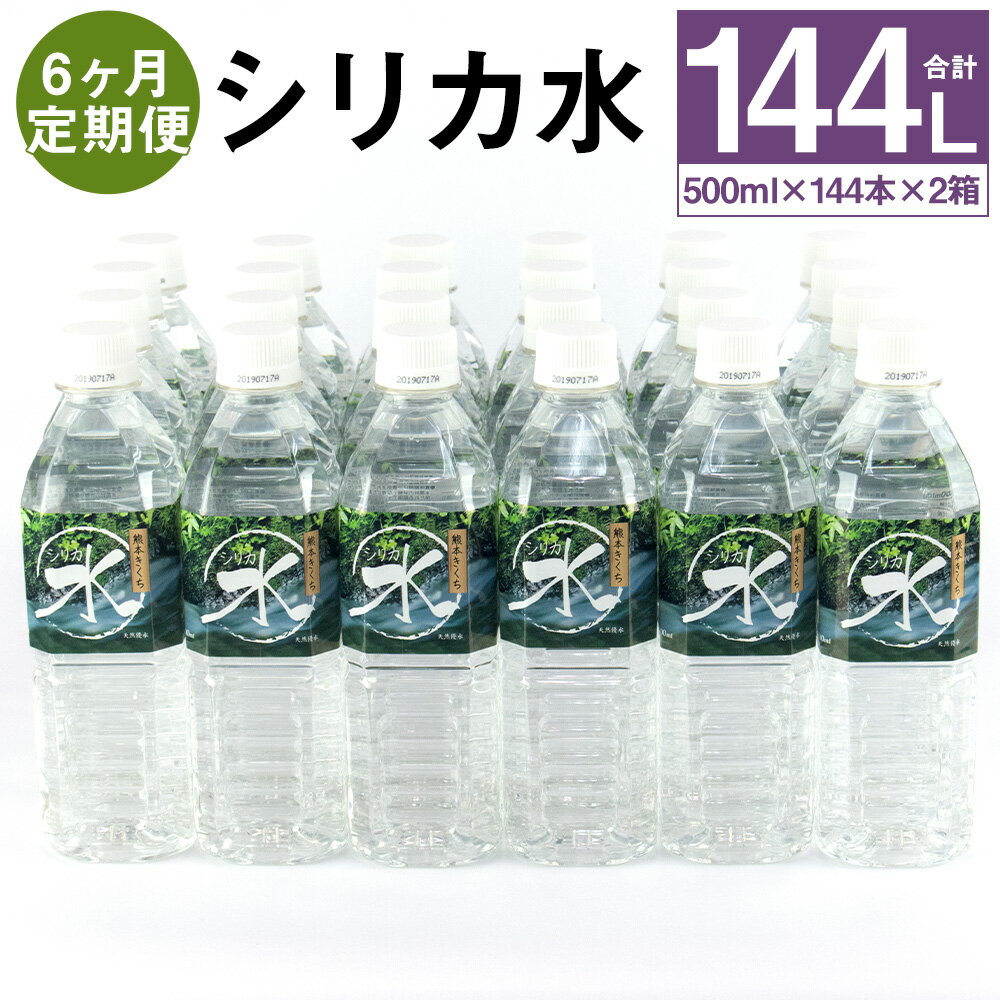 【ふるさと納税】【定期便計6回】シリカ水 (500ml×24本)×2箱【メロンドーム】 500ml×48本×6回お届け 合計288本 シリカ水 ミネラルウォーター 飲料水 ドリンク ペットボトル 6ヶ月定期便 軟水 熊本県 菊池市 送料無料《お申し込みの翌月から出荷》