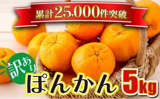 「先行予約」訳アリ 東洋町ポンカン＜5kg＞　U110