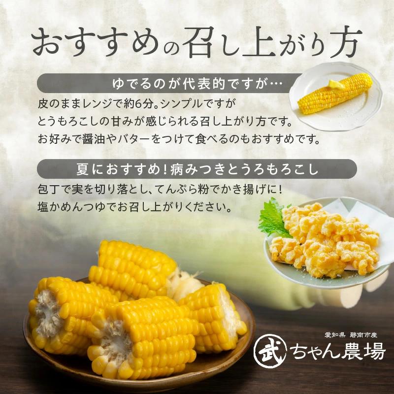 【2026年発送】朝採り直送 メロンより甘い 生とうもろこし“にっこりコーン” 7本 H095-027