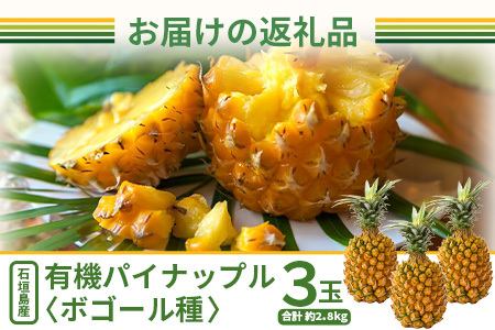 【予約受付】石垣島産　有機パイナップル・ボゴール種 3玉（約2.8kg前後）〈常温〉《６月上旬～順次発送予定》｜パイナップル パインアップル 石垣島パイン フルーツ 果物 くだもの 南国フルーツ 国産