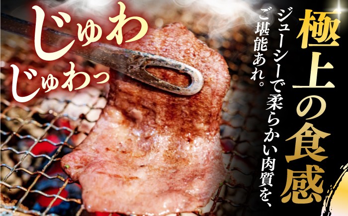 国産 牛 タン 牛タン ぎゅうたん こくさん スライス 味付き 塩 焼肉 焼き肉 冷凍 小分け 真空 定期便 ていきびん 定期