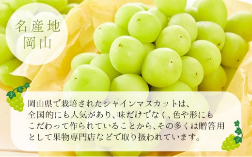 【期間限定】鏡野町産 シャインマスカット 2kg（2〜4房）