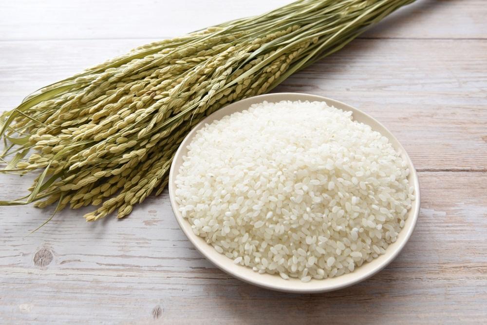 【特Aランク】令和7年北海道産ゆめぴりか・ななつぼし食べ比べセット１０ｋｇ（各５ｋｇ） ●