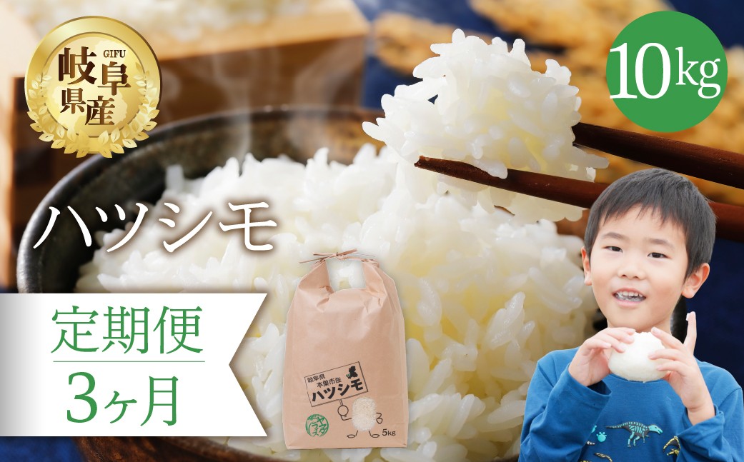 
            【 3回 定期便 】 ハツシモ 10kg × 3か月 米 こめ ごはん 白米 岐阜県産 本巣市 お米 精米 おにぎり 弁当 さっぱり 旨味 甘い 和食 寿司 岐阜県産 ヤマダライス 
          