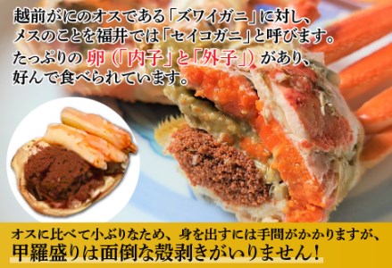 【先行予約！9月30日までの特別価格！！】【産地直送】福井冬の味覚！越前がに（ずわいがに活 800～900g 1杯） ＆ せいこ甲羅盛り5個