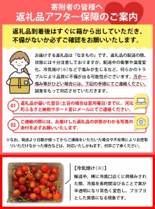 【令和7年産】ハウスさくらんぼ「佐藤錦」300g化粧箱 山形県河北町産【JAさがえ西村山】