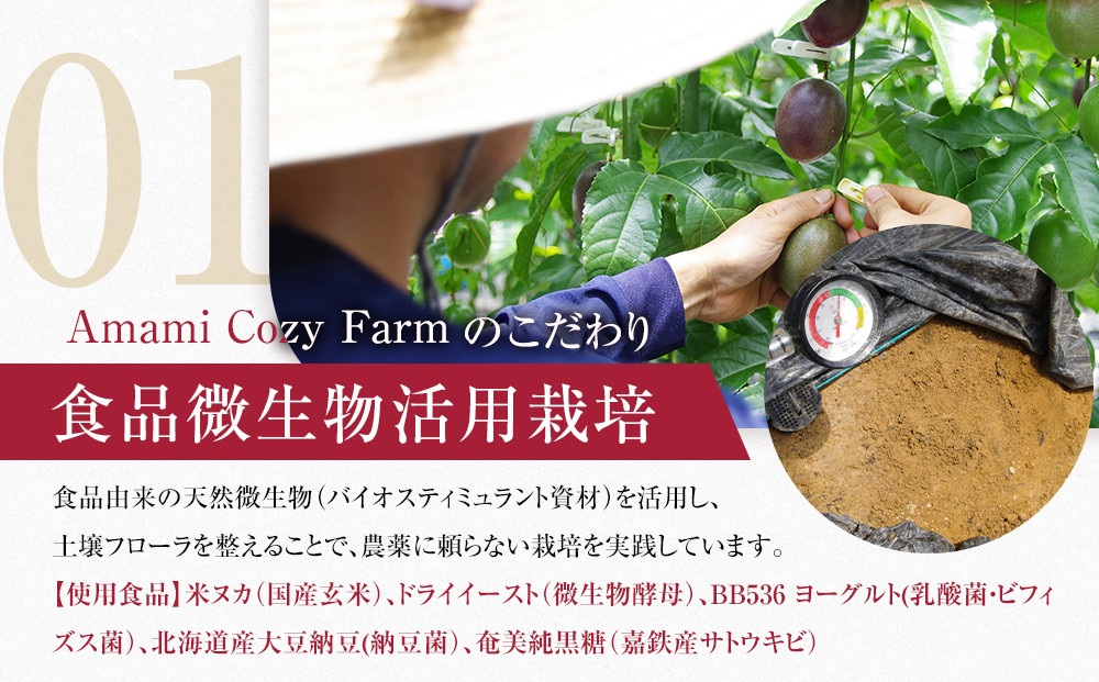期間限定【農薬不使用】奄美大島 完熟パッションフルーツ約1kg（農家直送）