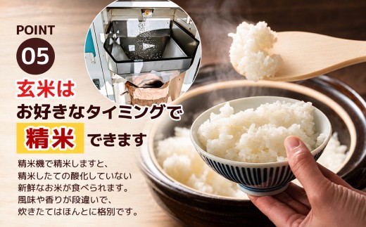 【定期3回】 新米 訳あり 定期便 数量 限定 令和8年度産 コシヒカリ こしひかり 約 30kg| こしひかり コシヒカリ 定期便 okome kome 日本米 栃木県産 ご飯 米 お米 玄米 白米