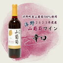 【ふるさと納税】【2023年産】洋野山葡萄ワイン 720ml（辛口）