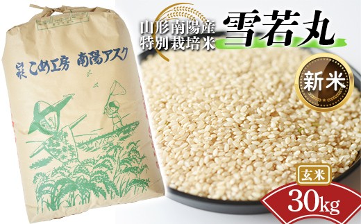 【令和8年産 新米 先行予約】 【金賞受賞農家】 特別栽培米 雪若丸 (玄米) 30kg 《令和8年9月下旬～発送》 『あおきライスファーム』 山形南陽産 米 ご飯 農家直送 山形県 南陽市 [2601-R8]