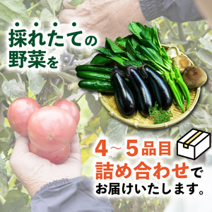 【訳あり】季節の野菜詰め合わせ 定期便（全4回） 定期便 定期 春野菜 夏野菜 秋野菜 冬野菜 訳あり 訳アリ わけあり ワケアリ 減農薬 野菜 旬 美味しい おいしい 箱詰め セット品 詰め合わせ 