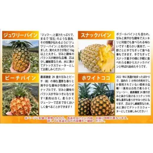 島のおいしいを贅沢に！大満足のパイナップル4種とマンゴー、プレミアム島ばななの定期便　年6回に分けてお送りします 《2027年4月中旬以降発送》
