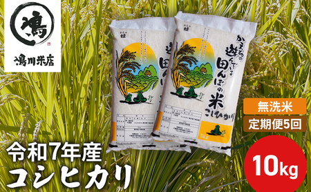 【定期5ヶ月】新米 コシヒカリ 乾式無洗米 10kg（5kg×2）令和7年産 お米 銘柄米 ご飯 おにぎり お弁当 和食 食卓 精米 国産 千葉県産 産地直送 
