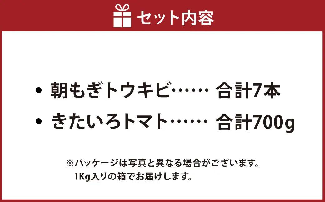きたいろトマト 700g 朝もぎトウキビ 7本 セット 【2026年8月上旬～9月上旬迄発送予定】 トマト とうもろこし トウモロコシ 野菜 朝採れ オーガニック