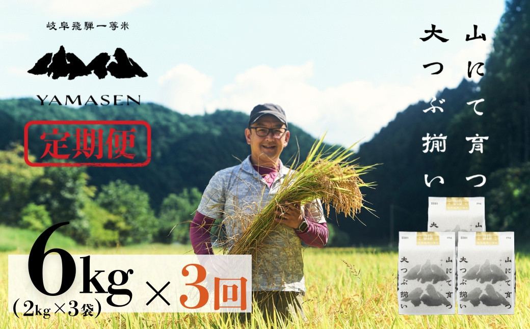 
                  【価格改定】7月31日まで!!令和7年産米【定期便】山仙（いのちの壱）【2kg×3袋（6kg）×3回】 すがたらいす 下呂市金山産 2025年産 毎月 6キロ×3カ月 お米 精米 下呂温泉 下呂市 米 ブランド米
                