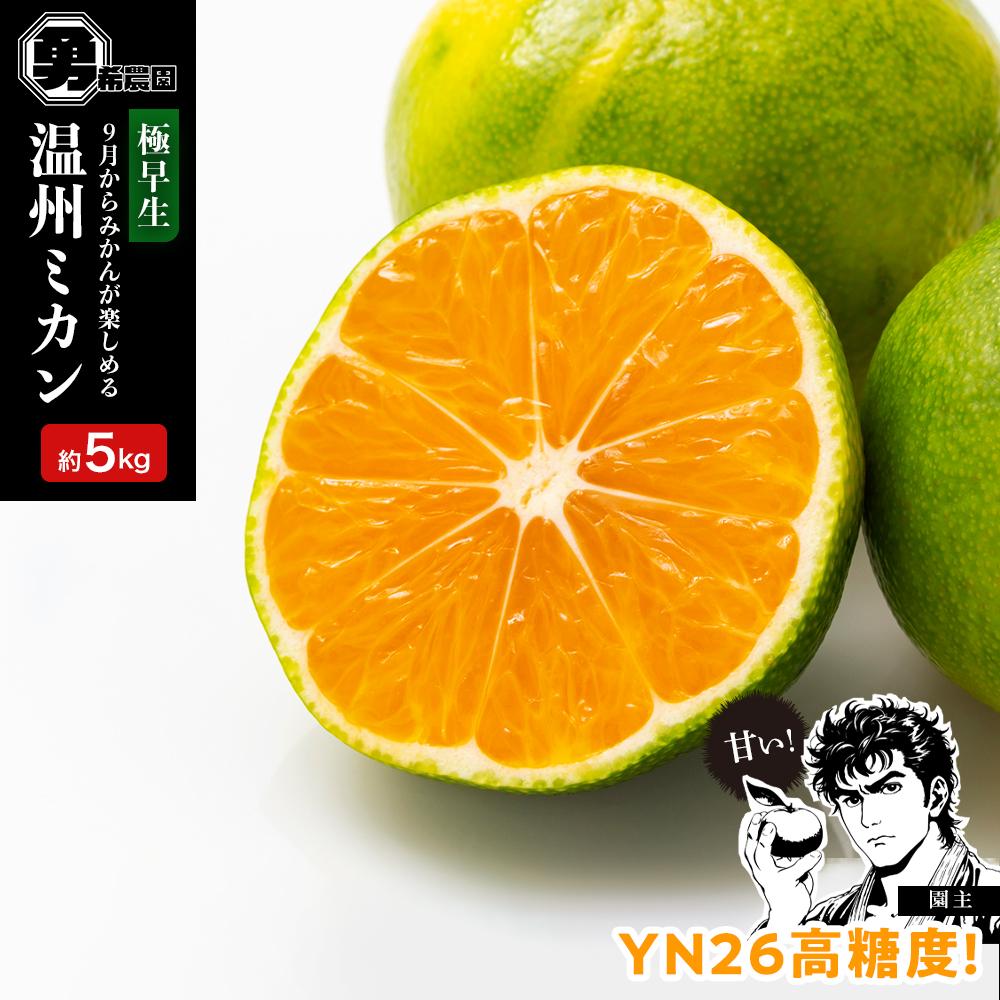 【ふるさと納税】先行予約 極早生温州ミカン YN26 約 5kg サイズ混合 和歌山県 有田みかん 2025年9月下旬頃発送 | みかん 蜜柑 フルーツ 果物 くだもの 食品 人気 おすすめ 送料無料