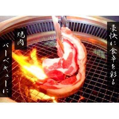 ふるさと納税 平取町 北海道民おすすめのラムを贅沢にラムハンバーグとラムステーキに!! |  | 02