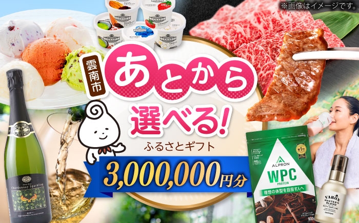 
            【あとから選べる】雲南市ふるさとギフト 300万円分 カタログギフト あとから寄附 あとからギフト あとからセレクト 選べる寄附 島根県雲南市/雲南市ふるさと納税 [AIDM019]
          