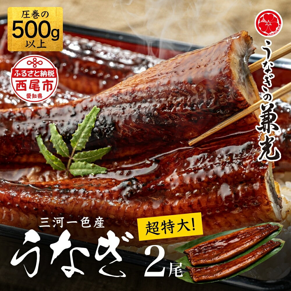 三河一色産 うなぎ蒲焼【超特大サイズ2尾（計500g以上）】U021【冷凍便】うなぎの兼光 蒲焼き 総菜 国産うなぎ ウナギ 鰻 愛知県産 西尾市産 西尾一色産 タレ付き たれセット 蒲焼き かば焼き