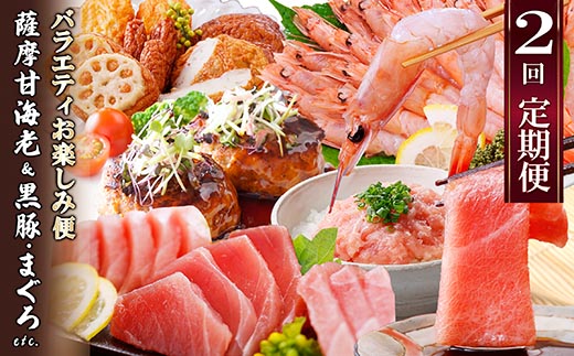 ＜ふるさと納税＞定期便2回配送　お楽しみバラエティ定期便(鹿児島県産黒豚・鮪etc)DD-6008【1486572】 _ ふるさと納税 定期便 豚肉 黒豚 カツオ タタキ マグロ 中トロ 赤身 刺身 焼肉 ロース ハンバーグ さつま揚げ