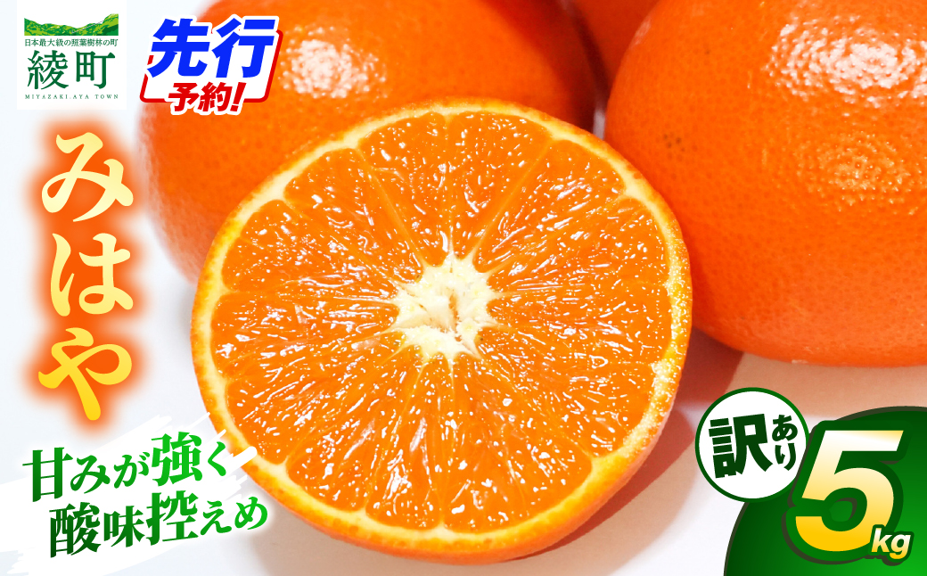 【先行受付】【訳あり】 みはや 5kg 果物 フルーツ くだもの 柑橘 みかん 蜜柑 新品種 おすすめ ワケアリ 不揃い 傷 Ｂ級品 プレゼント おすすめ おすそ分け 家庭用 おやつ スイーツ デザー