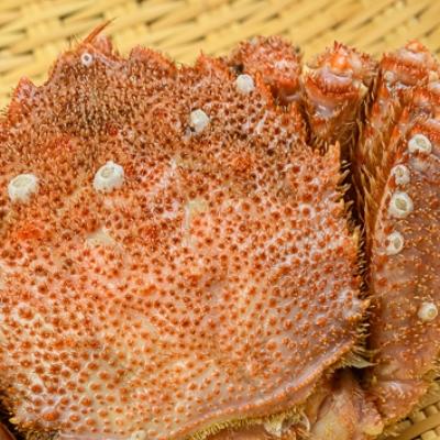ふるさと納税 森町 【訳あり】北海道産冷凍ボイル毛ガニ3尾(300g前後〜450g前後) |  | 02