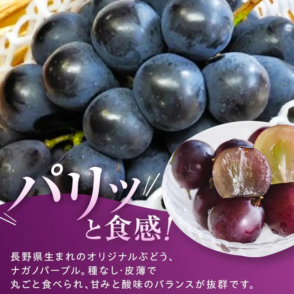 金オ岡村青果株式会社 長野市産 ナガノパープル2kg【2026年9月以降出荷分】ナガノパープル  | ぶどう ぶどう