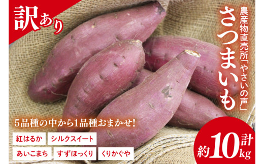 農産物直売所「やさいの声」★訳あり★さつまいも(品種おまかせ) 約10kg｜さつまいも 芋 サツマイモ 訳あり わけあり ワケアリ おまかせ 10kg 紅はるか シルクスイート すずほっくり くりかぐや あいこまち(EK-15)