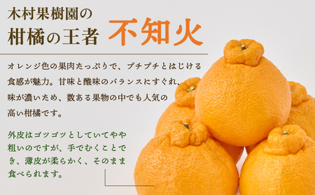 先行予約 不知火 約5kg 15玉〜22玉前後 2026年3月上旬から5月上旬発送予定 木村果樹園