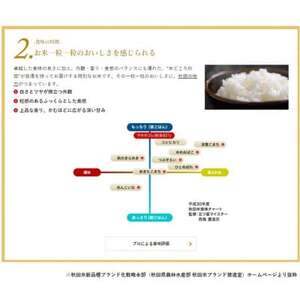 予約受付開始!秋田県産　サキホコレ30kg　1等　玄米【令和7年産】《11月初旬より発送》【配送不可地域：離島・沖縄県】【1463504】