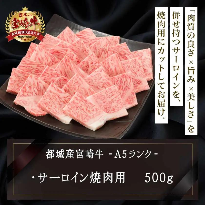 【A5】宮崎牛サーロイン焼肉用500g〔AE-0106〕_(都城市) 最高級A5ランク 宮崎牛サーロイン焼肉用 500g 最高等級5等級 ブランド牛 国産牛肉 国産黒毛和牛 バーベキュー 焼き肉 ガッ