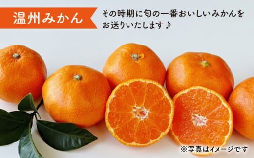 【先行予約】 温州 みかん 3kg＆果汁100％ストレート ジュース 1本 みかん ミカン 柑橘 西海みかん 温州みかん 贈答 ギフト みかん ジュース  ＜Da・IWASAKI　FARM＞ [CCZ