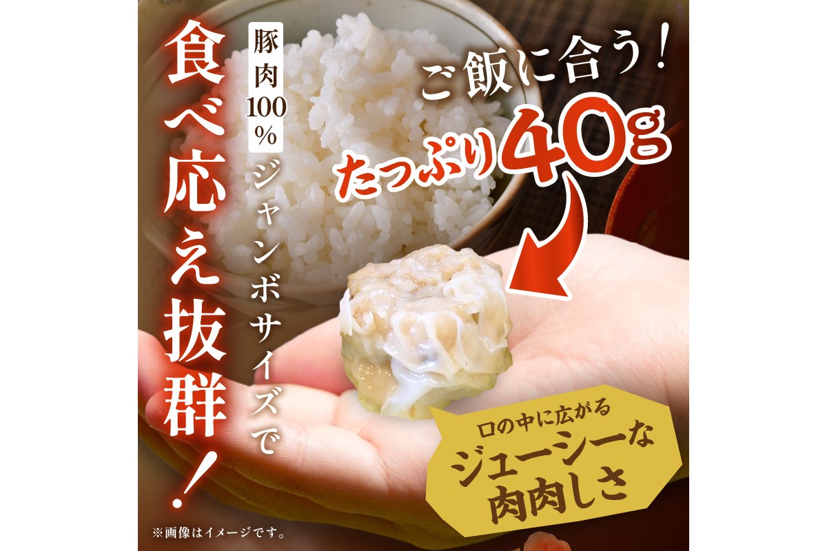 京都府産三元豚の手作りシュウマイ　6個×3p　TN00023