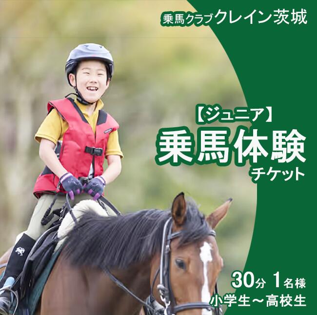 【ふるさと納税】乗馬クラブクレイン茨城　【ジュニア】乗馬体験チケット｜乗馬 乗馬クラブ 体験チケット 乗馬体験 ペア カップル 子ども 子供 キッズ 家族 ファミリー クレイン 夏休み 休日 GW 茨城県 つくば市