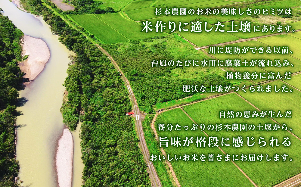 【令和7年産新米予約】【定期便12回】ふっくりんこ 4kg 2kg×2《杉本農園》 お米 こめ 北海道米 北海道産米