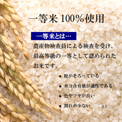 【令和5年産】栃木県産とちぎの星 (精米)5kg×2袋 ｜ お米 白米 一等米 送料無料 栃木県 宇都宮市 ※離島への配送不可