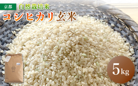 令和7年度産 自然栽培米 こしひかり 5kg 玄米 お米