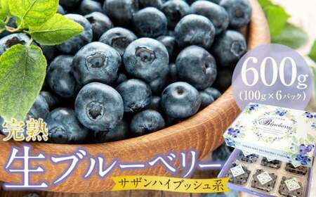 【農家直送】完熟生ブルーベリー（サザンハイブッシュ系）600g（100ｇ×6パック）| こだわりブルーベリー 完熟ブルーベリー 生ブルーベリー 冷蔵ブルーベリー 人気ブルーベリー