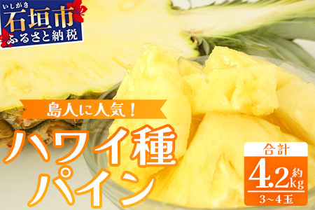 石垣島産 ハワイ種パイン 3～4玉セット 約4.2㎏【 産地直送 石垣島産 石垣 完熟 パイン パイナップル 】TD-7